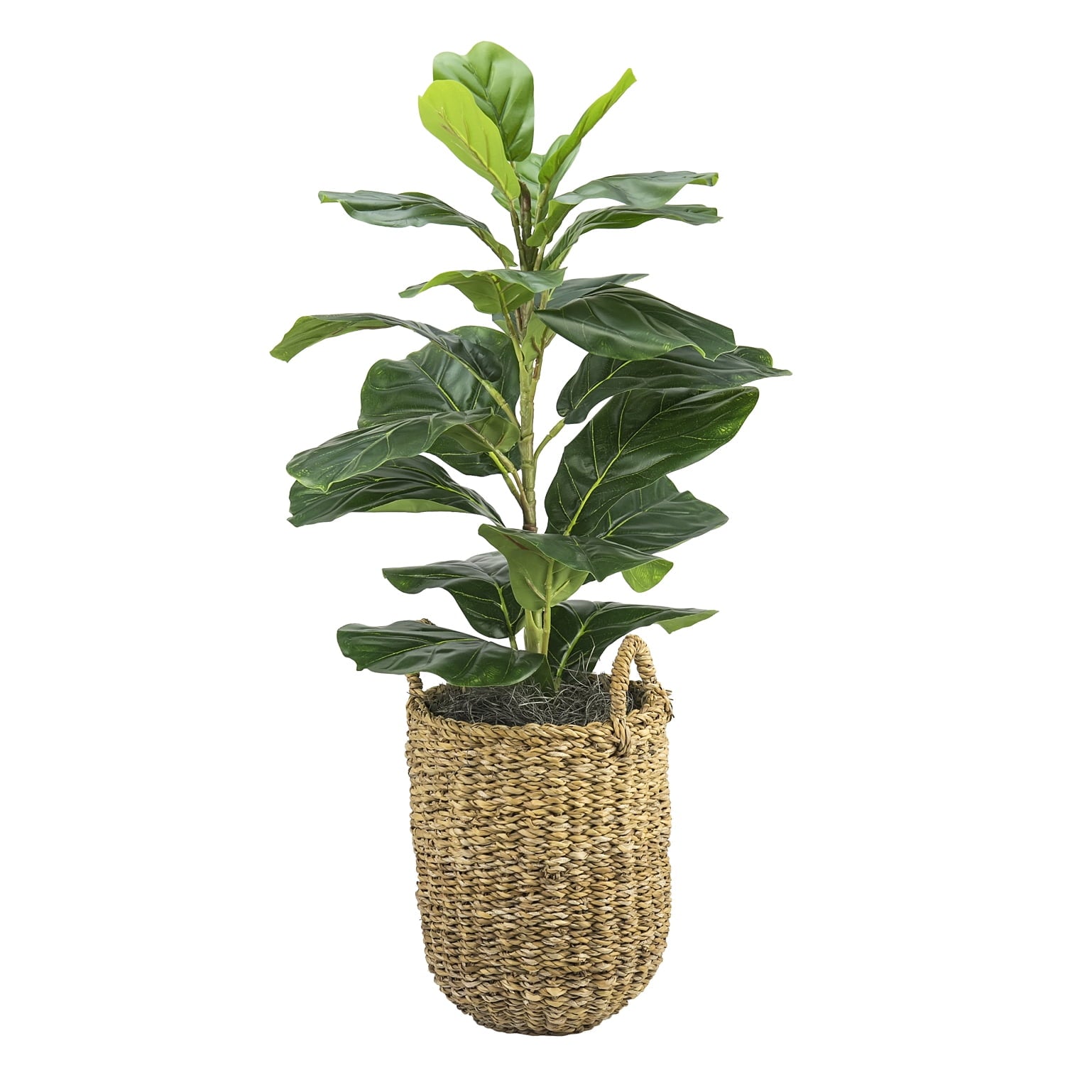 LCG Sales Artificial Plant, Fig Plant, 2.5 ft, Handwoven Basket with Handles