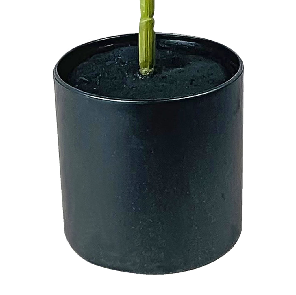 Mainstays Artificial Plant, Fiddle Leaf Fig Plant, 3.33 ft, Black Plastic Grower's Pot