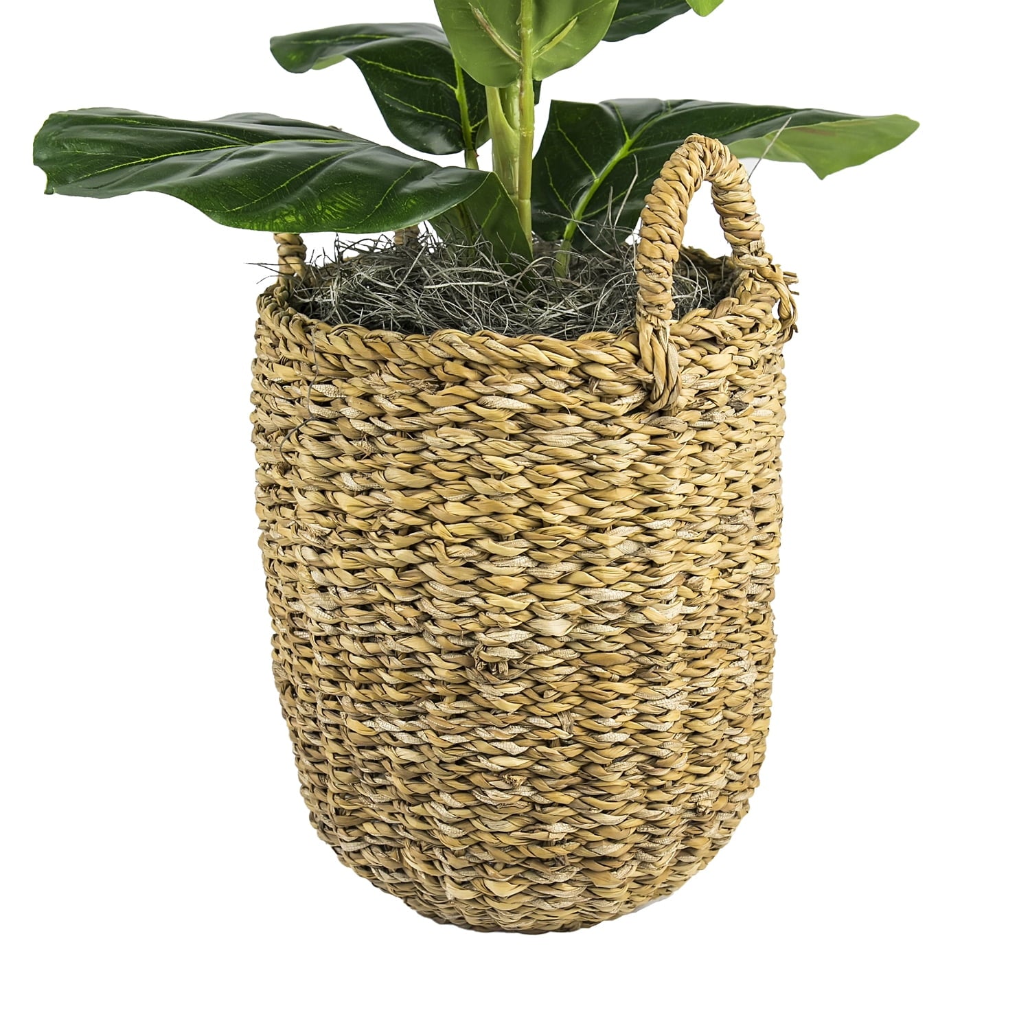 LCG Sales Artificial Plant, Fig Plant, 2.5 ft, Handwoven Basket with Handles
